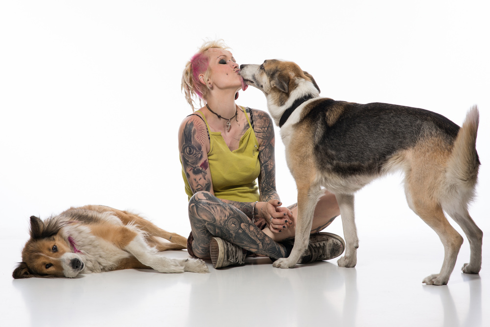 tätowierte junge Punkerin mit Hunden im Studio
