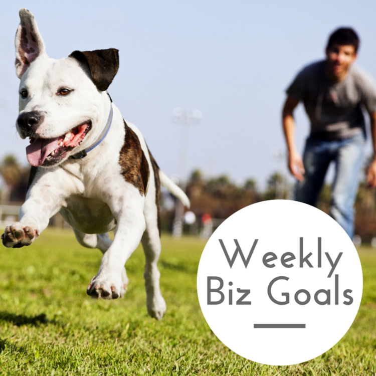 Weekly Business Goals: Dog Trainers, Dog Walkers, Dog Sitters & Veterinarians