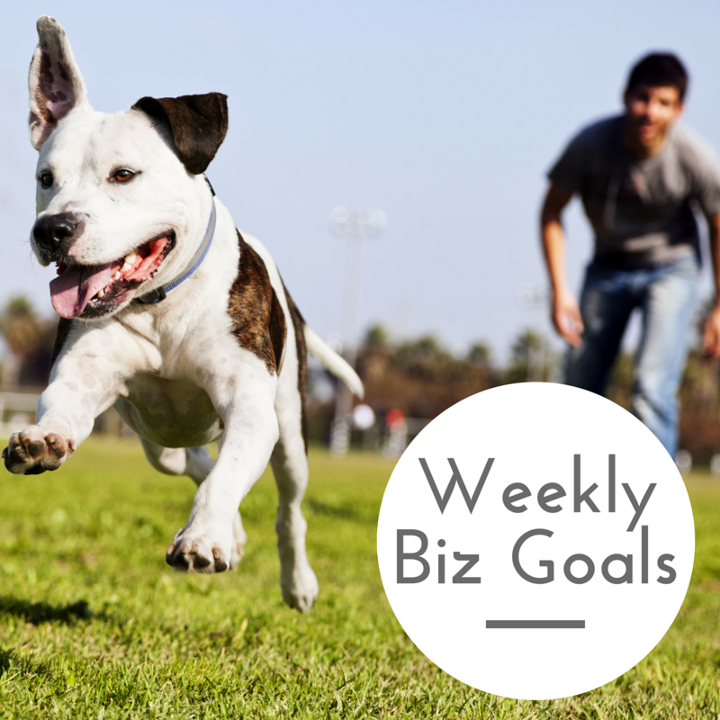 Dog Trainer Weekly Business Goals