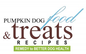Pumpkin+Dog+Treats+Recipes