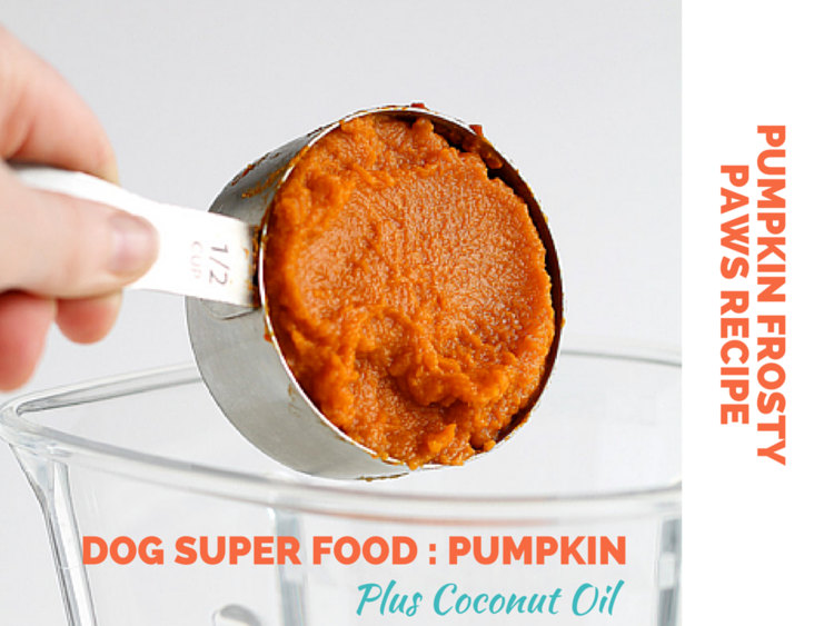 Pumpkin Frosty Paws Dog Treat Recipe